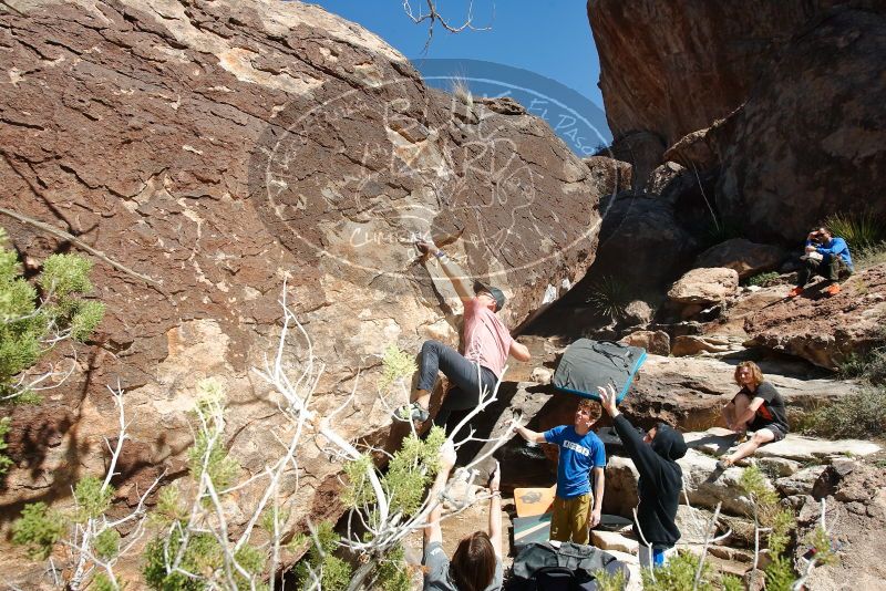 Bouldering in Hueco Tanks on 03/16/2020 with Blue Lizard Climbing and Yoga

Filename: SRM_20200316_1223560.jpg
Aperture: f/8.0
Shutter Speed: 1/250
Body: Canon EOS-1D Mark II
Lens: Canon EF 16-35mm f/2.8 L
