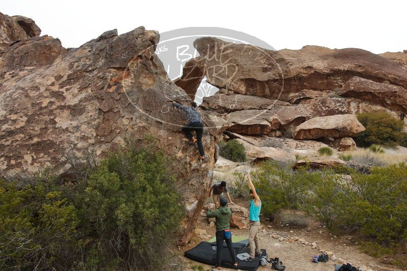 Bouldering in Hueco Tanks on 03/15/2020 with Blue Lizard Climbing and Yoga

Filename: SRM_20200315_0933250.jpg
Aperture: f/8.0
Shutter Speed: 1/320
Body: Canon EOS-1D Mark II
Lens: Canon EF 16-35mm f/2.8 L