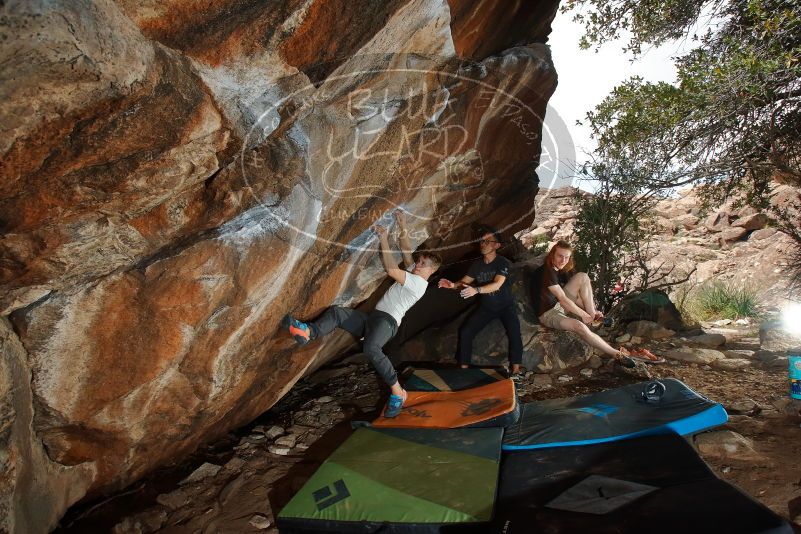 Bouldering in Hueco Tanks on 03/15/2020 with Blue Lizard Climbing and Yoga

Filename: SRM_20200315_1444380.jpg
Aperture: f/8.0
Shutter Speed: 1/250
Body: Canon EOS-1D Mark II
Lens: Canon EF 16-35mm f/2.8 L