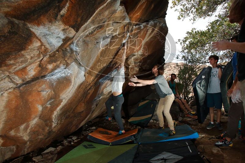 Bouldering in Hueco Tanks on 03/15/2020 with Blue Lizard Climbing and Yoga

Filename: SRM_20200315_1502120.jpg
Aperture: f/8.0
Shutter Speed: 1/160
Body: Canon EOS-1D Mark II
Lens: Canon EF 16-35mm f/2.8 L