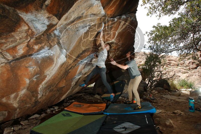 Bouldering in Hueco Tanks on 03/15/2020 with Blue Lizard Climbing and Yoga

Filename: SRM_20200315_1505070.jpg
Aperture: f/8.0
Shutter Speed: 1/160
Body: Canon EOS-1D Mark II
Lens: Canon EF 16-35mm f/2.8 L