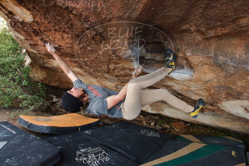 Bouldering in Hueco Tanks on 03/15/2020 with Blue Lizard Climbing and Yoga

Filename: SRM_20200315_1730350.jpg
Aperture: f/6.3
Shutter Speed: 1/250
Body: Canon EOS-1D Mark II
Lens: Canon EF 16-35mm f/2.8 L