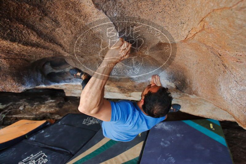 Bouldering in Hueco Tanks on 03/15/2020 with Blue Lizard Climbing and Yoga

Filename: SRM_20200315_1734160.jpg
Aperture: f/4.0
Shutter Speed: 1/320
Body: Canon EOS-1D Mark II
Lens: Canon EF 16-35mm f/2.8 L