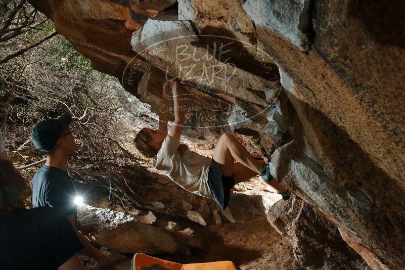 

Filename: SRM_20200315_1439030.jpg
Aperture: f/8.0
Shutter Speed: 1/250
Body: Canon EOS-1D Mark II
Lens: Canon EF 16-35mm f/2.8 L
