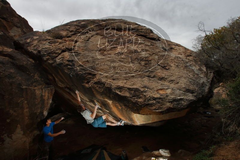 

Filename: SRM_20200315_1556190.jpg
Aperture: f/8.0
Shutter Speed: 1/250
Body: Canon EOS-1D Mark II
Lens: Canon EF 16-35mm f/2.8 L