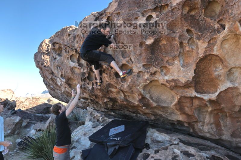

Filename: SRM_20211107_1440130.jpg
Aperture: f/4.5
Shutter Speed: 1/500
Body: Canon EOS R6
Lens: Canon EF 16-35mm f/2.8 L
