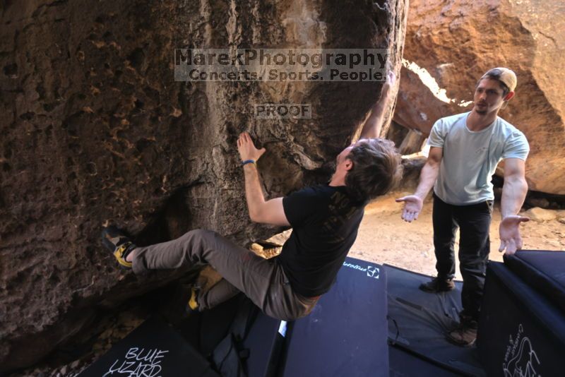 

Filename: SRM_20211107_2029050.jpg
Aperture: f/4.0
Shutter Speed: 1/500
Body: Canon EOS R6
Lens: Canon EF 16-35mm f/2.8 L