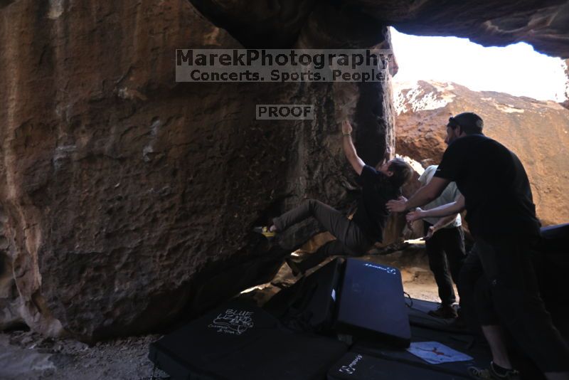 

Filename: SRM_20211107_2036170.jpg
Aperture: f/4.0
Shutter Speed: 1/500
Body: Canon EOS R6
Lens: Canon EF 16-35mm f/2.8 L