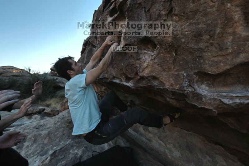 

Filename: SRM_20211107_2235340.jpg
Aperture: f/5.6
Shutter Speed: 1/500
Body: Canon EOS R6
Lens: Canon EF 16-35mm f/2.8 L