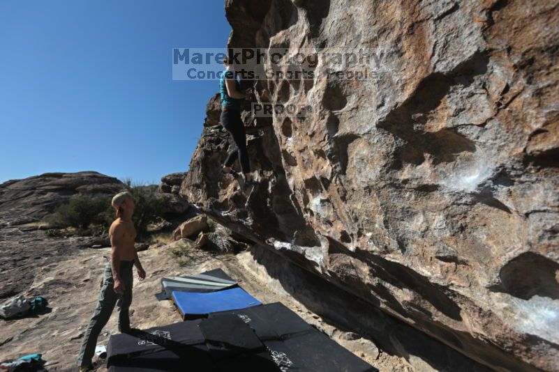 

Filename: SRM_20211113_1038160.jpg
Aperture: f/5.6
Shutter Speed: 1/1000
Body: Canon EOS R6
Lens: Canon EF 16-35mm f/2.8 L