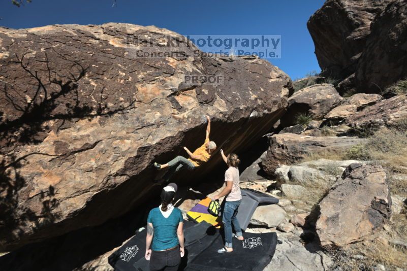 

Filename: SRM_20211113_1156530.jpg
Aperture: f/5.6
Shutter Speed: 1/640
Body: Canon EOS R6
Lens: Canon EF 16-35mm f/2.8 L