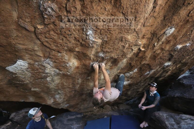 

Filename: SRM_20211113_1323090.jpg
Aperture: f/5.6
Shutter Speed: 1/500
Body: Canon EOS R6
Lens: Canon EF 16-35mm f/2.8 L