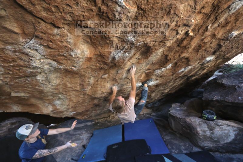

Filename: SRM_20211113_1409340.jpg
Aperture: f/5.6
Shutter Speed: 1/500
Body: Canon EOS R6
Lens: Canon EF 16-35mm f/2.8 L