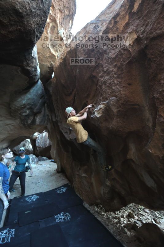

Filename: SRM_20211113_1635270.jpg
Aperture: f/4.0
Shutter Speed: 1/250
Body: Canon EOS R6
Lens: Canon EF 16-35mm f/2.8 L
