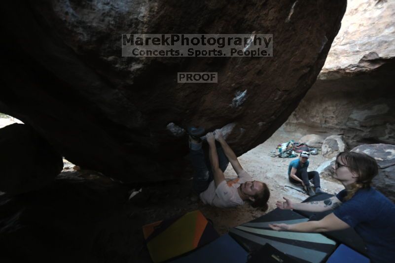 

Filename: SRM_20211113_1651130.jpg
Aperture: f/2.8
Shutter Speed: 1/250
Body: Canon EOS R6
Lens: Canon EF 16-35mm f/2.8 L