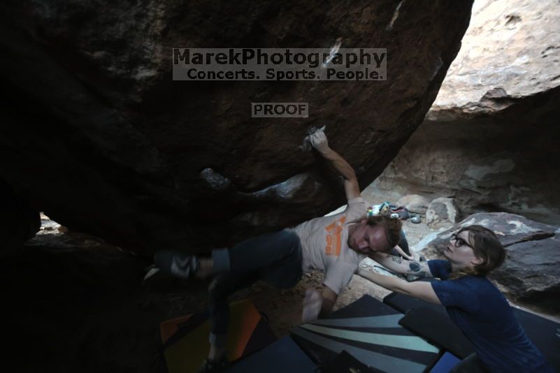 

Filename: SRM_20211113_1651230.jpg
Aperture: f/2.8
Shutter Speed: 1/250
Body: Canon EOS R6
Lens: Canon EF 16-35mm f/2.8 L