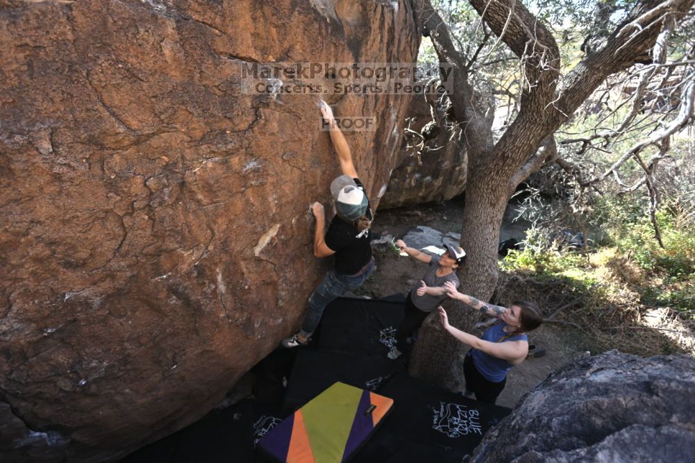 

Filename: SRM_20211114_1003080.jpg
Aperture: f/5.0
Shutter Speed: 1/500
Body: Canon EOS R6
Lens: Canon EF 16-35mm f/2.8 L