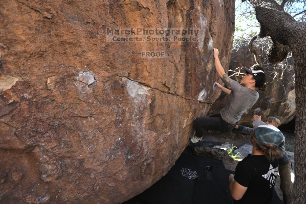 

Filename: SRM_20211114_1015150.jpg
Aperture: f/5.0
Shutter Speed: 1/500
Body: Canon EOS R6
Lens: Canon EF 16-35mm f/2.8 L