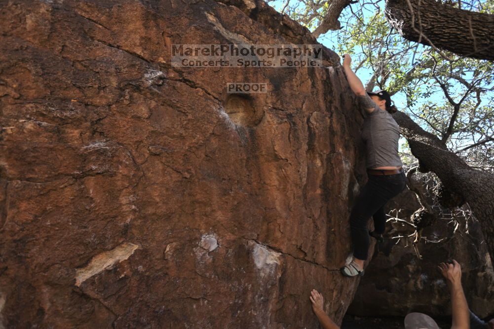 

Filename: SRM_20211114_1015510.jpg
Aperture: f/5.0
Shutter Speed: 1/500
Body: Canon EOS R6
Lens: Canon EF 16-35mm f/2.8 L