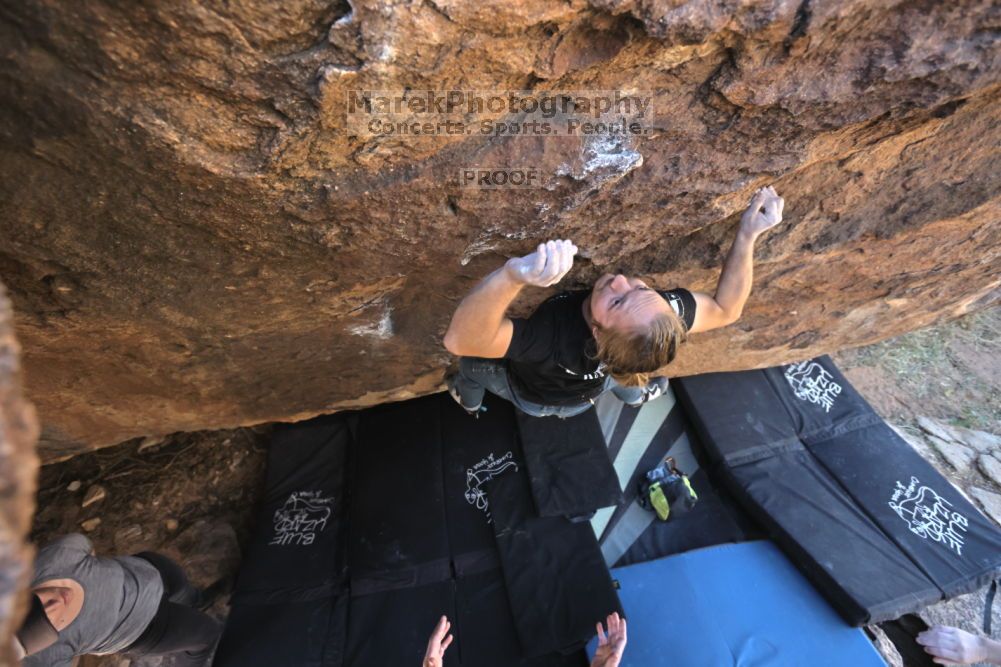 

Filename: SRM_20211114_1102060.jpg
Aperture: f/5.0
Shutter Speed: 1/500
Body: Canon EOS R6
Lens: Canon EF 16-35mm f/2.8 L
