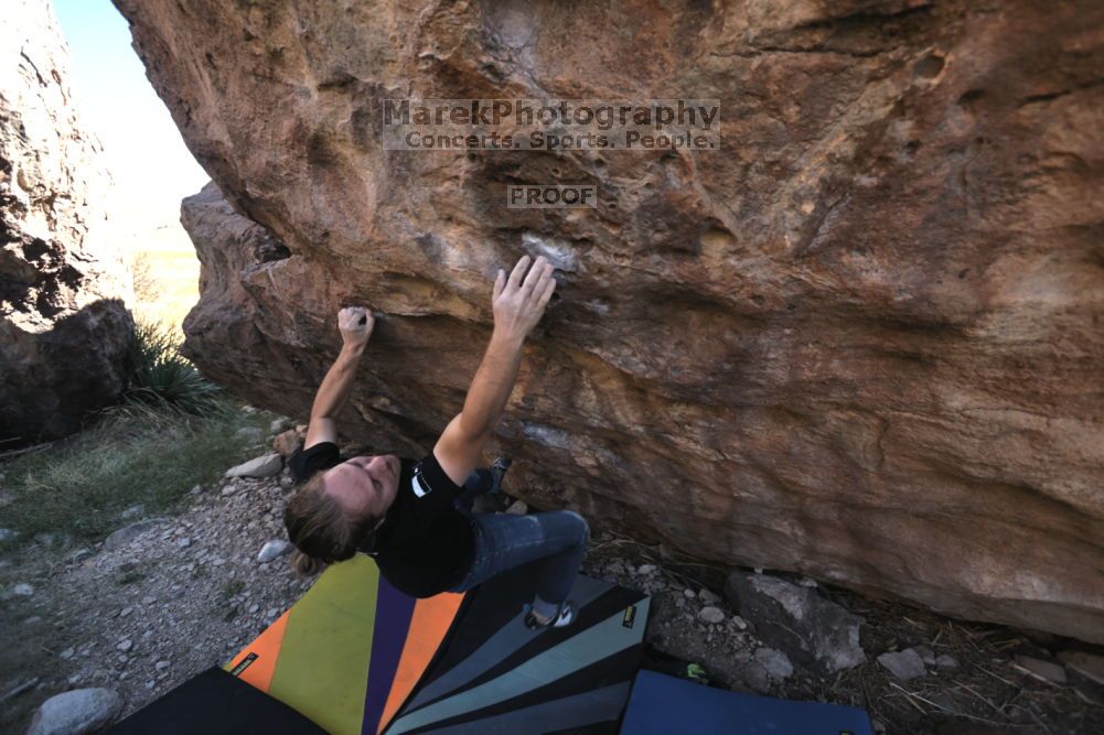 

Filename: SRM_20211114_1154080.jpg
Aperture: f/5.0
Shutter Speed: 1/500
Body: Canon EOS R6
Lens: Canon EF 16-35mm f/2.8 L