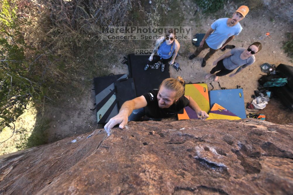 

Filename: SRM_20211114_1510000.jpg
Aperture: f/5.6
Shutter Speed: 1/500
Body: Canon EOS R6
Lens: Canon EF 16-35mm f/2.8 L