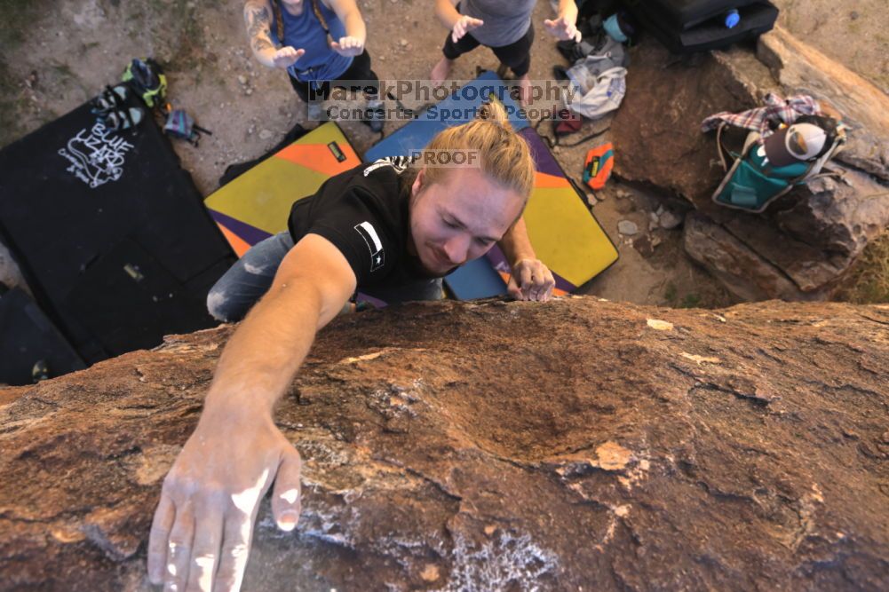 

Filename: SRM_20211114_1512031.jpg
Aperture: f/5.6
Shutter Speed: 1/500
Body: Canon EOS R6
Lens: Canon EF 16-35mm f/2.8 L