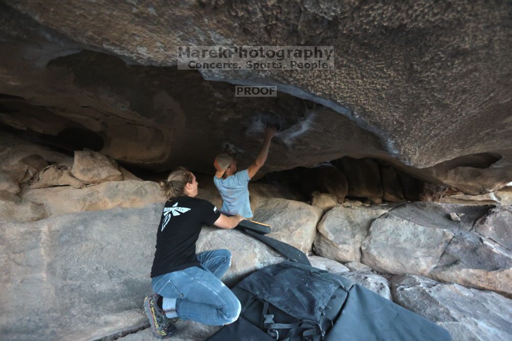 

Filename: SRM_20211114_1637060.jpg
Aperture: f/4.0
Shutter Speed: 1/800
Body: Canon EOS R6
Lens: Canon EF 16-35mm f/2.8 L