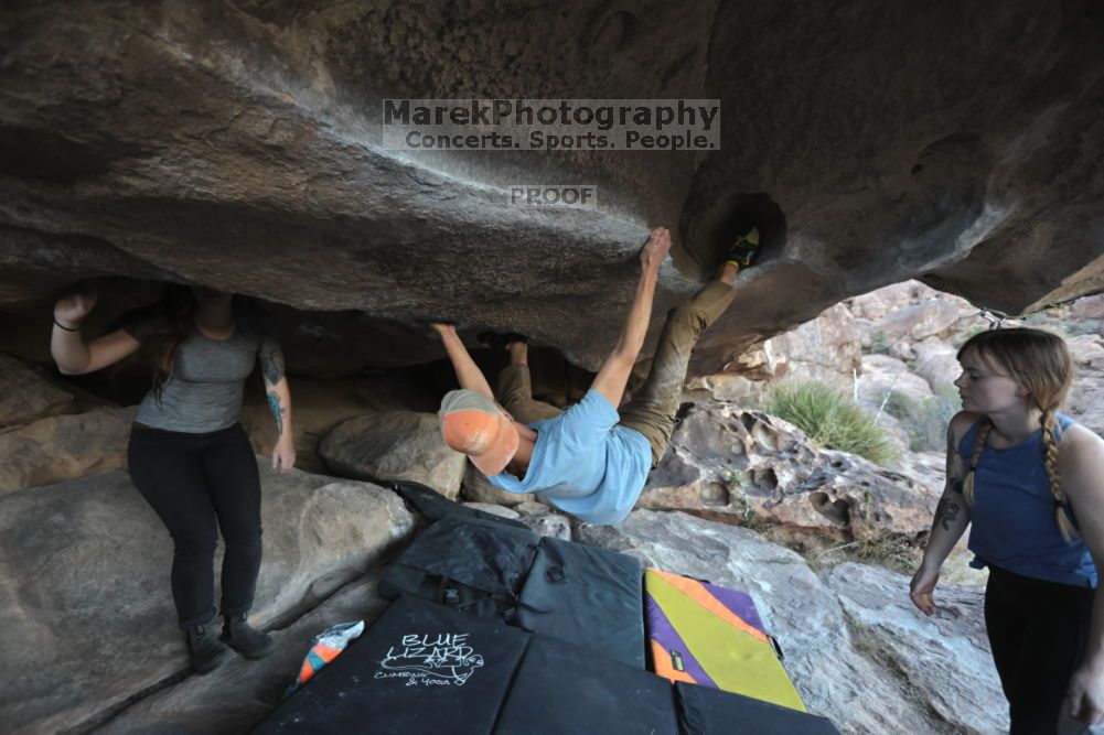 

Filename: SRM_20211114_1642300.jpg
Aperture: f/3.5
Shutter Speed: 1/800
Body: Canon EOS R6
Lens: Canon EF 16-35mm f/2.8 L