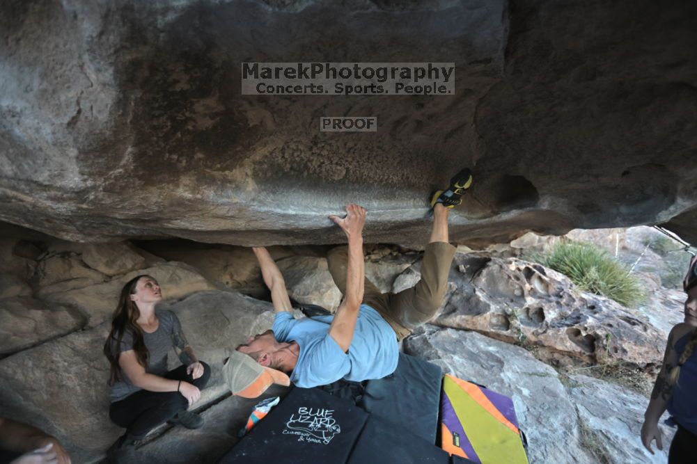 

Filename: SRM_20211114_1642400.jpg
Aperture: f/3.5
Shutter Speed: 1/800
Body: Canon EOS R6
Lens: Canon EF 16-35mm f/2.8 L