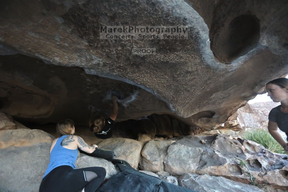 

Filename: SRM_20211114_1646030.jpg
Aperture: f/3.5
Shutter Speed: 1/800
Body: Canon EOS R6
Lens: Canon EF 16-35mm f/2.8 L