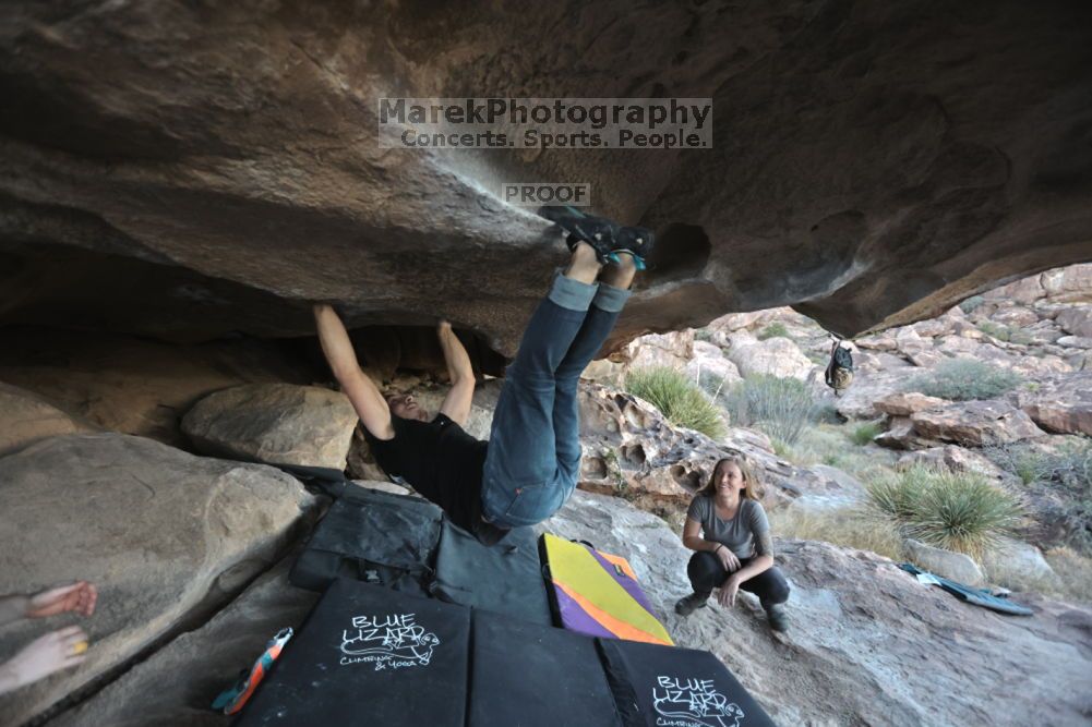 

Filename: SRM_20211114_1646320.jpg
Aperture: f/3.5
Shutter Speed: 1/800
Body: Canon EOS R6
Lens: Canon EF 16-35mm f/2.8 L