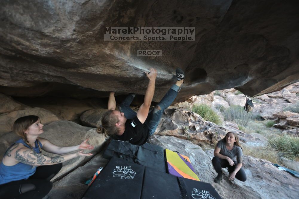 

Filename: SRM_20211114_1646390.jpg
Aperture: f/3.5
Shutter Speed: 1/800
Body: Canon EOS R6
Lens: Canon EF 16-35mm f/2.8 L