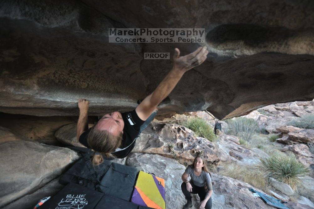

Filename: SRM_20211114_1646510.jpg
Aperture: f/3.5
Shutter Speed: 1/800
Body: Canon EOS R6
Lens: Canon EF 16-35mm f/2.8 L