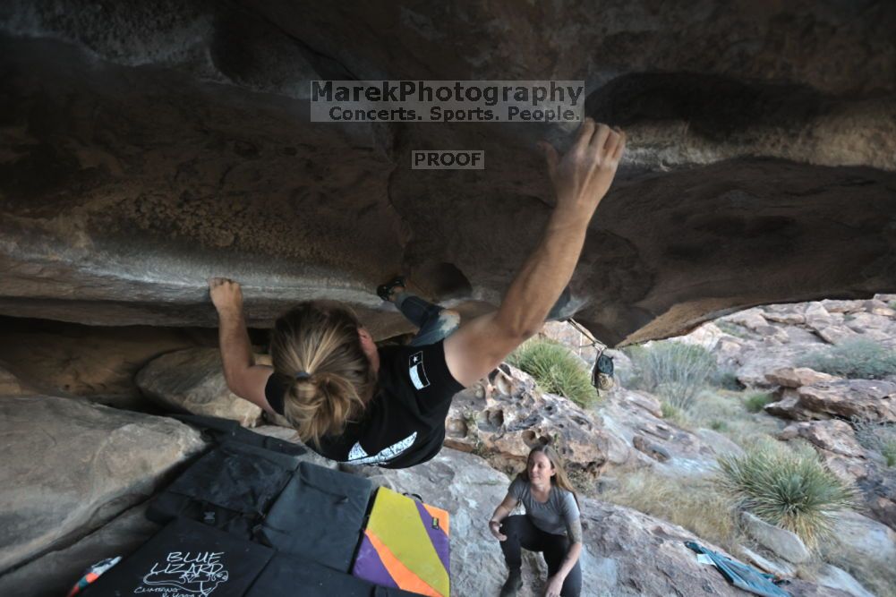 

Filename: SRM_20211114_1646520.jpg
Aperture: f/3.5
Shutter Speed: 1/800
Body: Canon EOS R6
Lens: Canon EF 16-35mm f/2.8 L