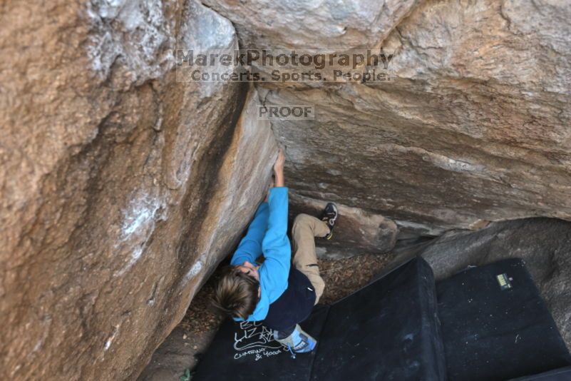 

Filename: SRM_20211121_0928550.jpg
Aperture: f/5.6
Shutter Speed: 1/400
Body: Canon EOS R6
Lens: Canon EF 16-35mm f/2.8 L