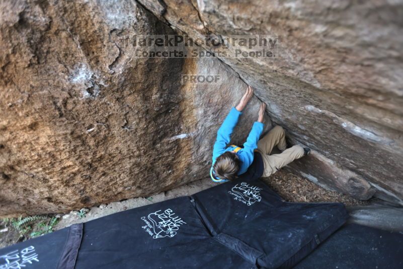 

Filename: SRM_20211121_1009050.jpg
Aperture: f/2.8
Shutter Speed: 1/400
Body: Canon EOS R6
Lens: Canon EF 16-35mm f/2.8 L