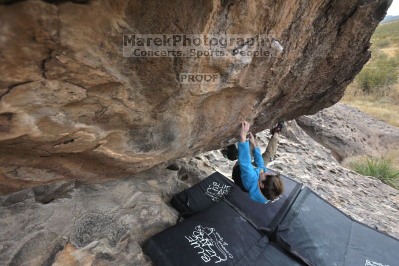 

Filename: SRM_20211121_1122180.jpg
Aperture: f/5.6
Shutter Speed: 1/400
Body: Canon EOS R6
Lens: Canon EF 16-35mm f/2.8 L