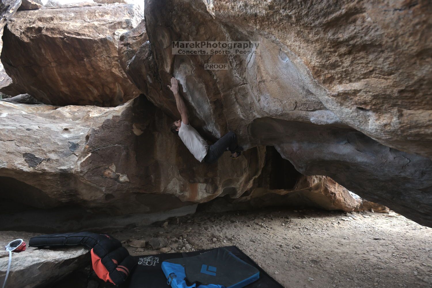 

Filename: SRM_20211125_1308160.jpg
Aperture: f/5.6
Shutter Speed: 1/400
Body: Canon EOS R6
Lens: Canon EF 16-35mm f/2.8 L