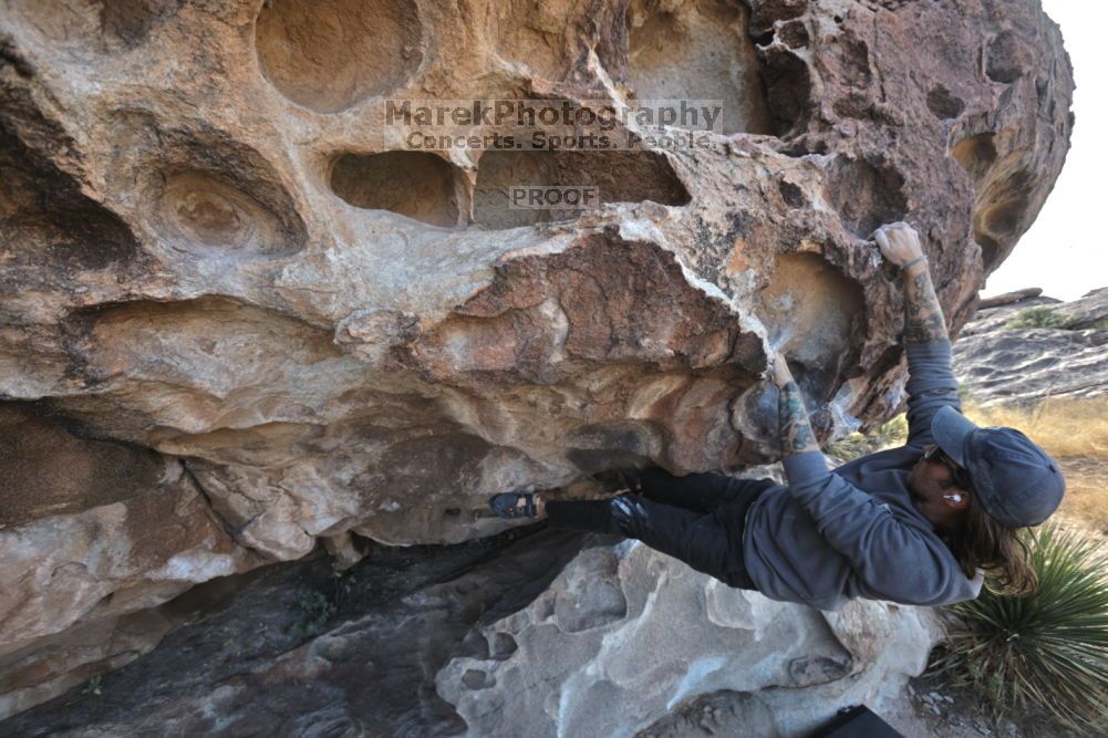 

Filename: SRM_20211126_0937530.jpg
Aperture: f/5.6
Shutter Speed: 1/400
Body: Canon EOS R6
Lens: Canon EF 16-35mm f/2.8 L