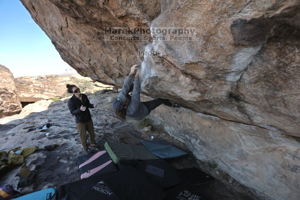 

Filename: SRM_20211126_1014020.jpg
Aperture: f/5.6
Shutter Speed: 1/400
Body: Canon EOS R6
Lens: Canon EF 16-35mm f/2.8 L