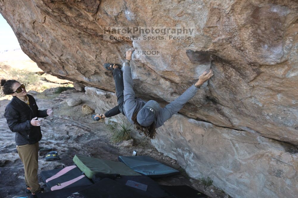 

Filename: SRM_20211126_1014140.jpg
Aperture: f/5.6
Shutter Speed: 1/400
Body: Canon EOS R6
Lens: Canon EF 16-35mm f/2.8 L