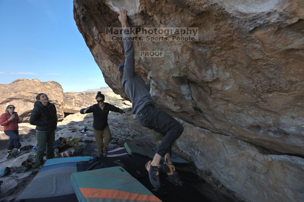 

Filename: SRM_20211126_1014230.jpg
Aperture: f/5.6
Shutter Speed: 1/400
Body: Canon EOS R6
Lens: Canon EF 16-35mm f/2.8 L