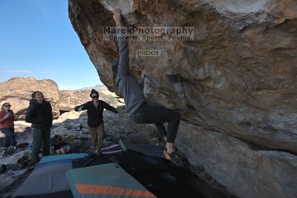 

Filename: SRM_20211126_1014231.jpg
Aperture: f/5.6
Shutter Speed: 1/400
Body: Canon EOS R6
Lens: Canon EF 16-35mm f/2.8 L