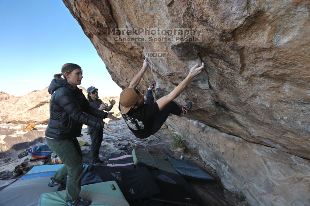 

Filename: SRM_20211126_1017450.jpg
Aperture: f/5.6
Shutter Speed: 1/400
Body: Canon EOS R6
Lens: Canon EF 16-35mm f/2.8 L