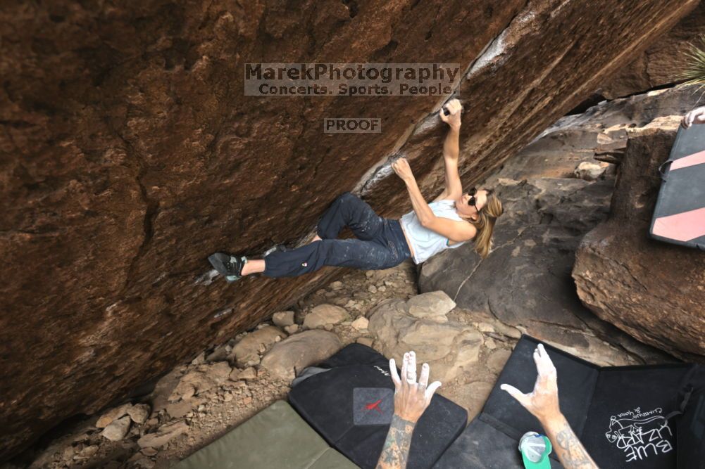 

Filename: SRM_20211126_1123080.jpg
Aperture: f/5.6
Shutter Speed: 1/400
Body: Canon EOS R6
Lens: Canon EF 16-35mm f/2.8 L