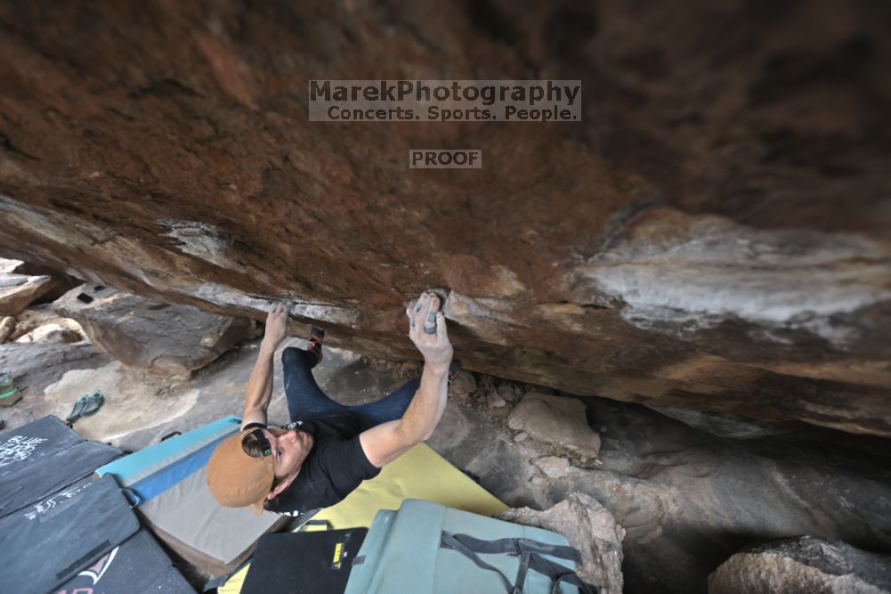 

Filename: SRM_20211126_1230380.jpg
Aperture: f/4.0
Shutter Speed: 1/400
Body: Canon EOS R6
Lens: Canon EF 16-35mm f/2.8 L