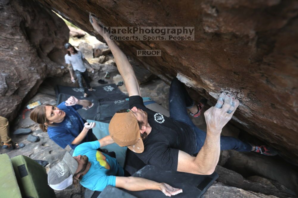 

Filename: SRM_20211126_1231110.jpg
Aperture: f/4.0
Shutter Speed: 1/400
Body: Canon EOS R6
Lens: Canon EF 16-35mm f/2.8 L