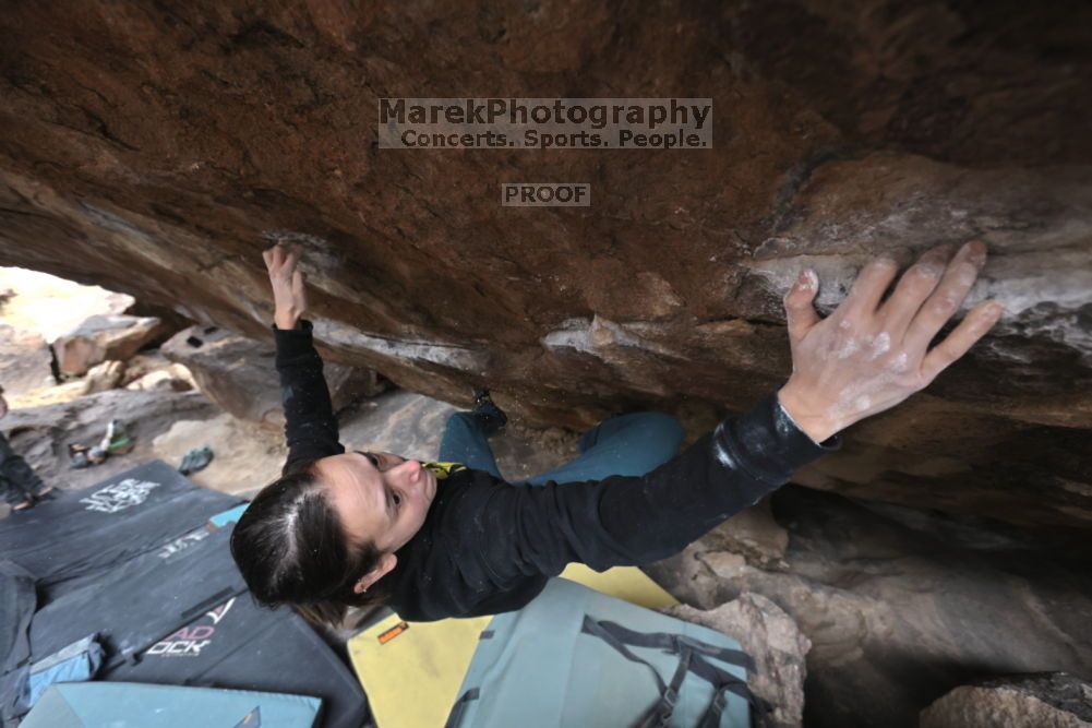 

Filename: SRM_20211126_1247580.jpg
Aperture: f/5.6
Shutter Speed: 1/400
Body: Canon EOS R6
Lens: Canon EF 16-35mm f/2.8 L