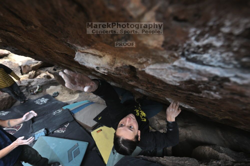 

Filename: SRM_20211126_1248030.jpg
Aperture: f/5.6
Shutter Speed: 1/400
Body: Canon EOS R6
Lens: Canon EF 16-35mm f/2.8 L